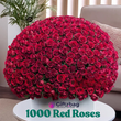 1000 Premium Red Roses Bouquet