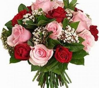 Mix Red & Pink Roses