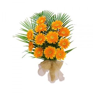 Best Online Mothers Day Gift in jaipur