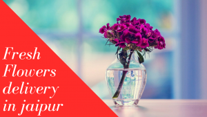 Surprise your partner with a Bouquet Online Gift Portal in Jaipur Fast Flower Bouquet Delivery in Jaipur