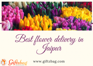 Check Few Points to Find Online Flower Delivery in Jaipur Flowers online in Jaipur, Florist In Jaipur, flower delivery in jaipur, Flower Shop In Jaipur, Gift Delivery In Jaipur flower delivery in Jaipur
