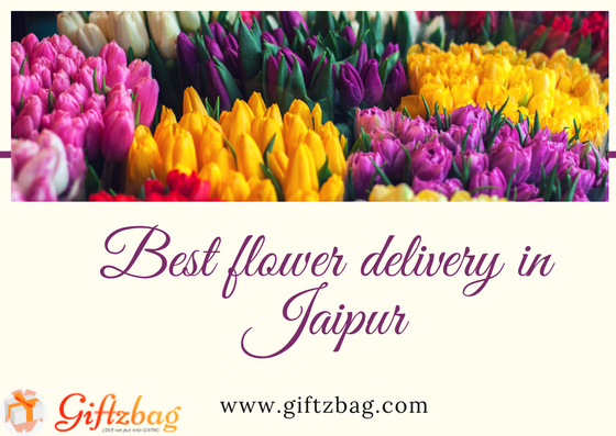Check Few Points to Find Online Flower Delivery in Jaipur