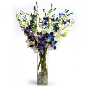 online orchid flowers delivery in India