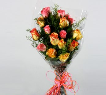 12 yellow and Pink Roses