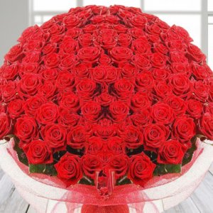 500 red roses arrangement