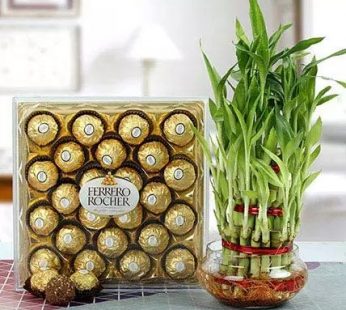 Ferrero Rocher with Bamboo Plant