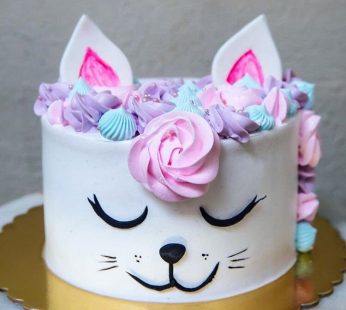 Cat’s Theme Cake