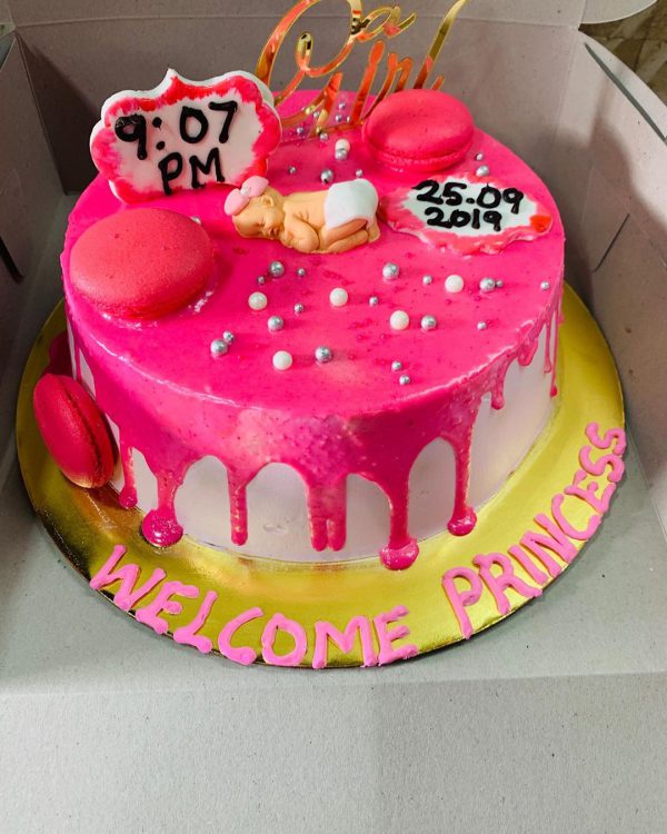 Welcome Princess Cake