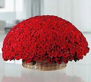 365 love Red Roses arrangement