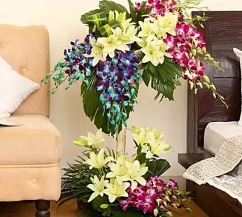 3 Feet orchid Arrangement