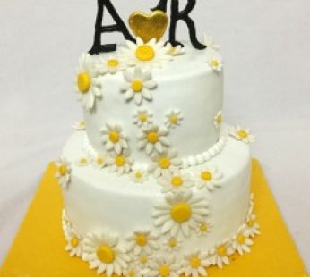 A & R Engagement Cake