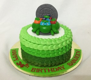 Ninja turtles Birthday Cake