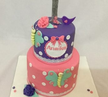 1st Birthday Butterfly Theme Cake