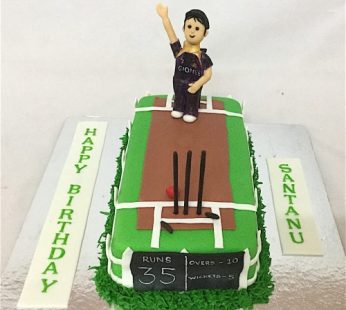 35th Birthday Cake Cricket theme