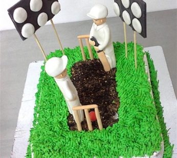 Cricket Pitch Theme Birthday Cake