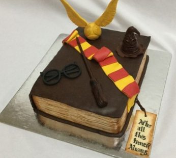 Harry Potter Cake Online