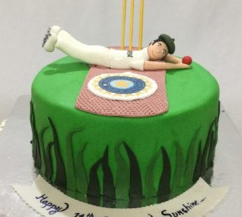 10th Birthday Cricket Cake