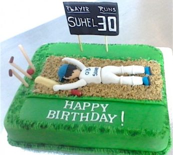 30th Birthday Cricket Cake
