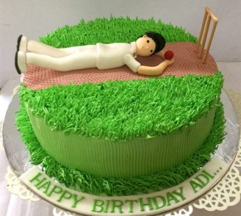 10th Birthday Cricket theme Cake