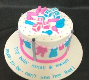 Baby Shower Cake -Tiny Baby small & Sweet