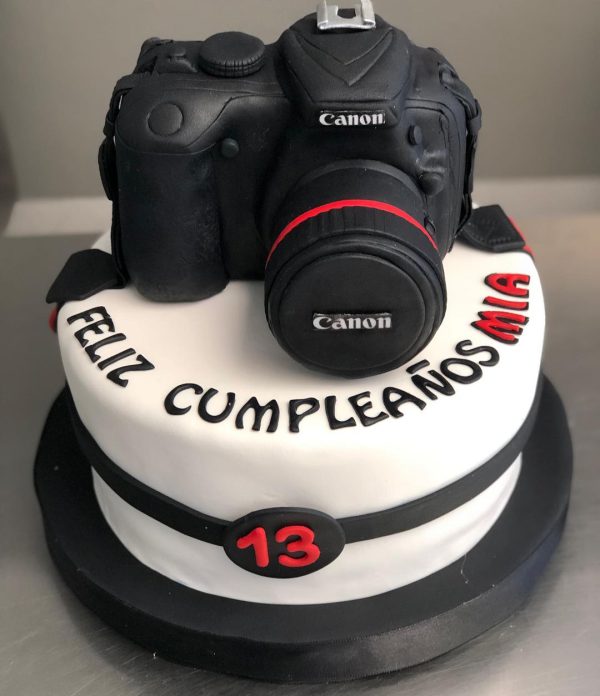 Simple Camera Cake
