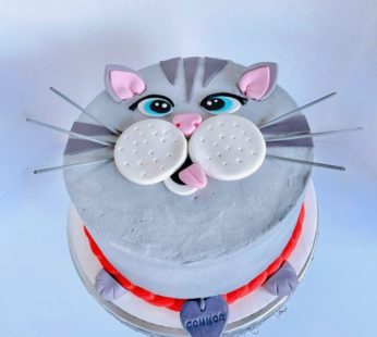 Cat Birthday Cake